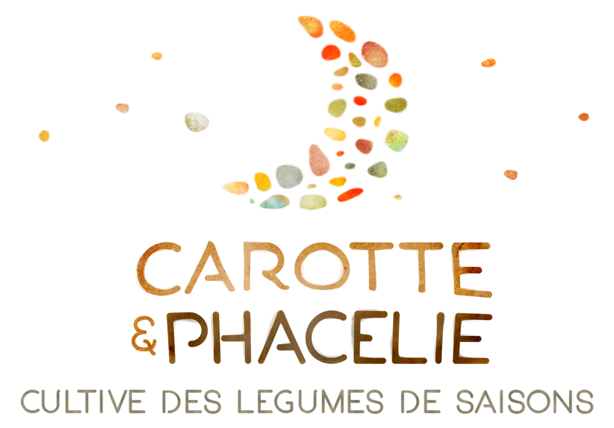 Carotte & Phacélie - cultive des légumes de saisons